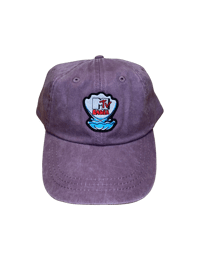 Mt. Baker TV Collab Hat - Plum