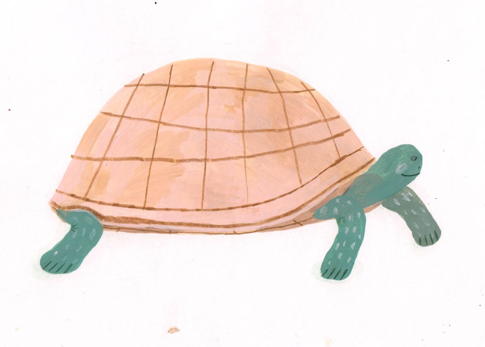 Image of Turtle (Original)
