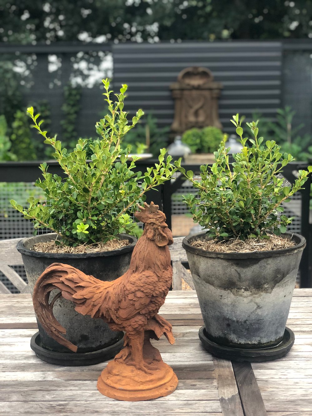 Image of Cast Iron Rooster 