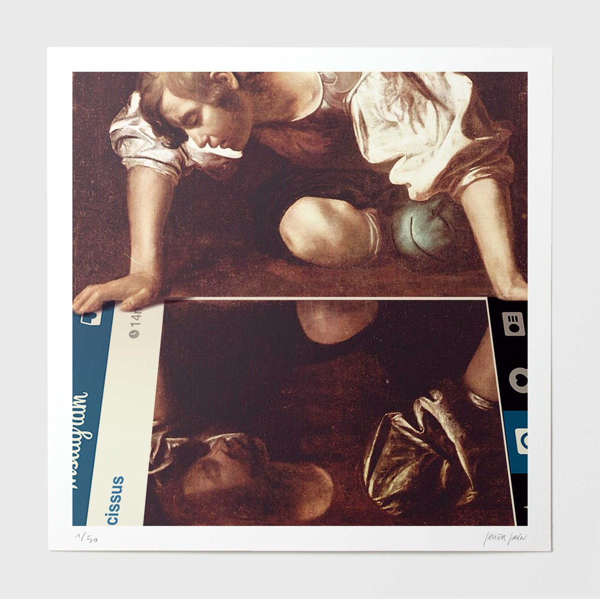 Image of Narcissus