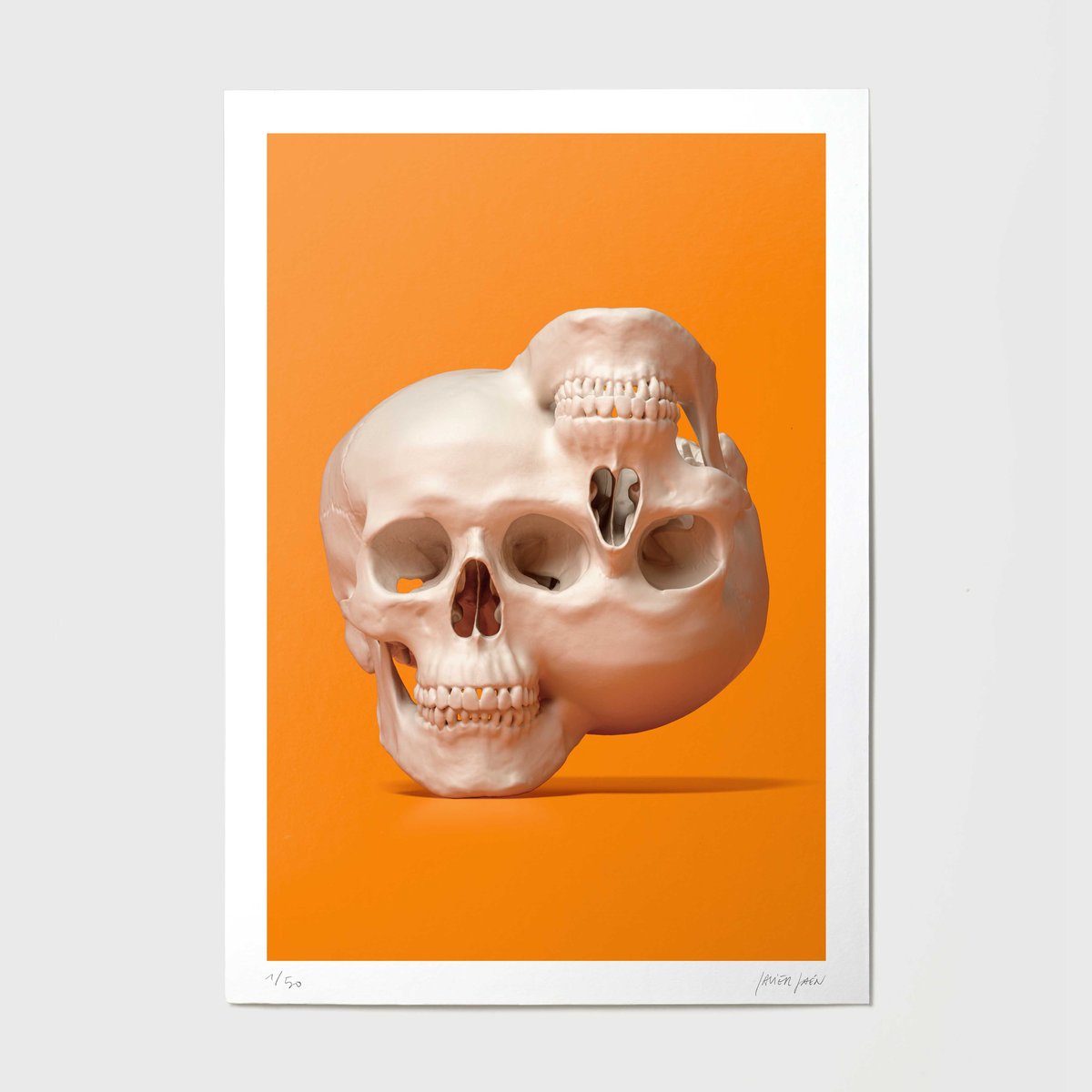 Image of Scene Beasts