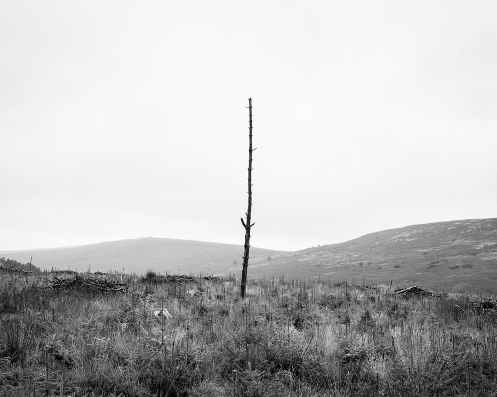 Image of Apocalyptic Landscape Print
