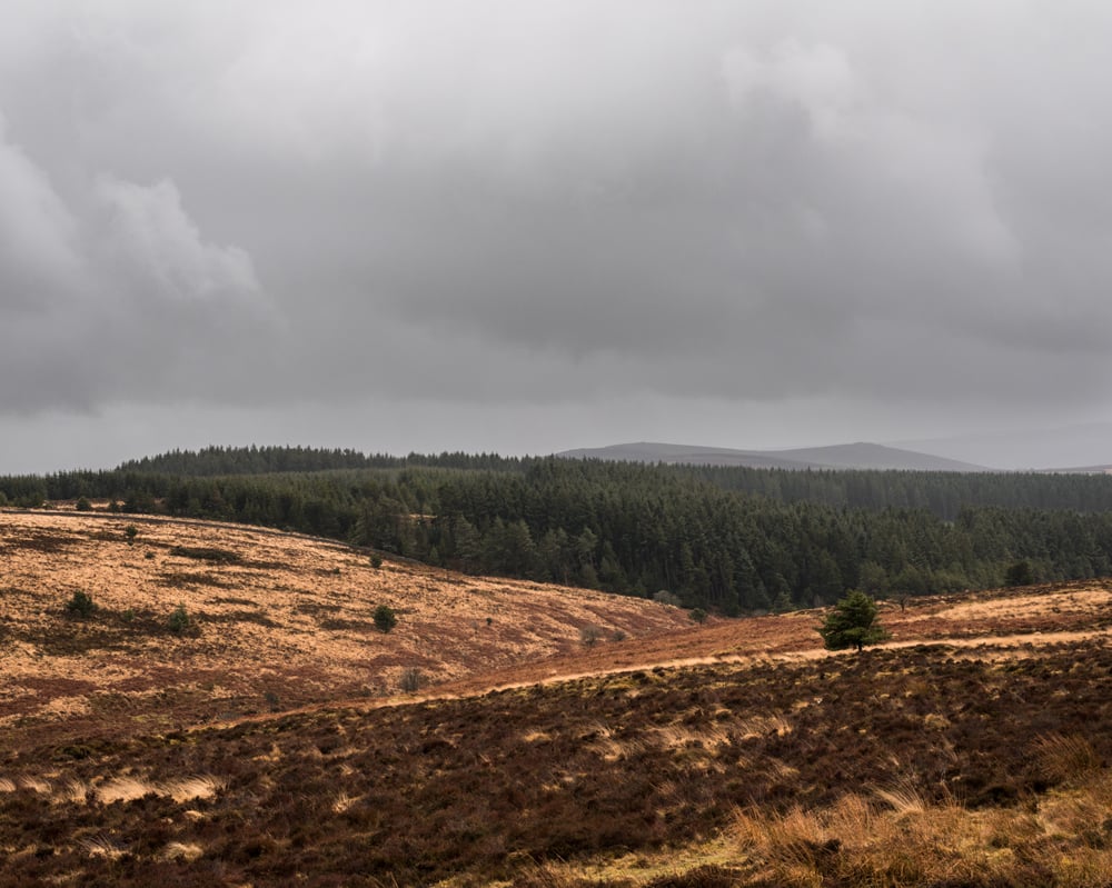 Image of An Incoming Storm 