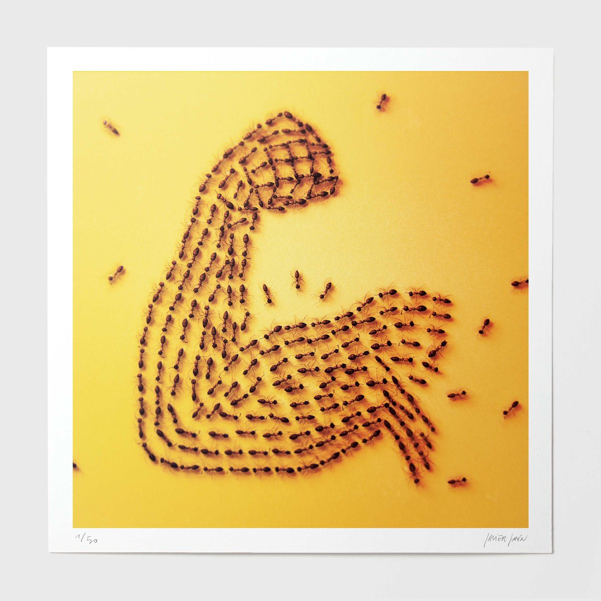 Image of Stronger Together