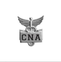 CNA Lapel Pin 