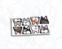 ミニ ハスキ (MINI) 8 HASUKI SET v3