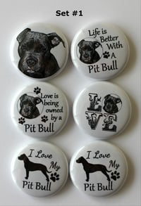 Image 1 of Pit bull Flair