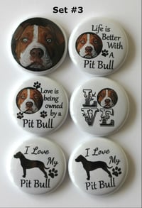 Image 3 of Pit bull Flair