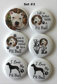 Image 2 of Pit bull Flair