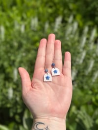 Image 1 of delphiniums