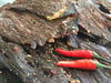 Hawaiian Jerky Chips Spicy Black Pepper