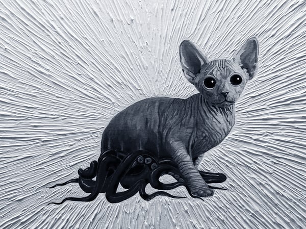 Image of 11x14 kitten