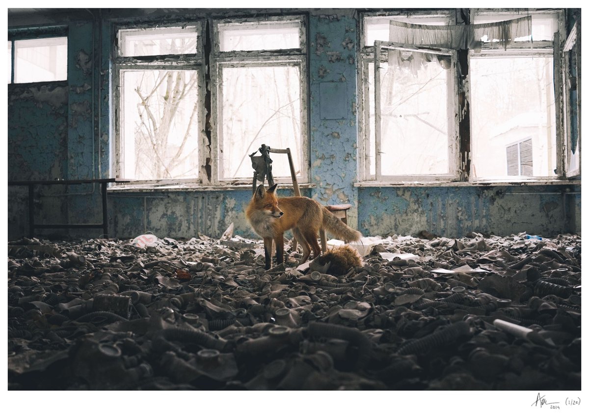 Image of Limited Edition (Edition of 20) Signed Art Print - 16" x 24"