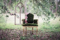 Spring Mini Sessions