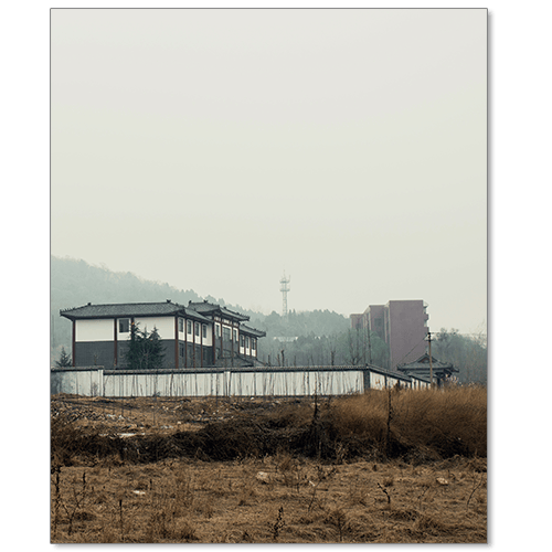 Image of Ameena Rojee - Hard Work