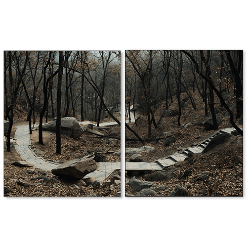 Image of Ameena Rojee - Hard Work