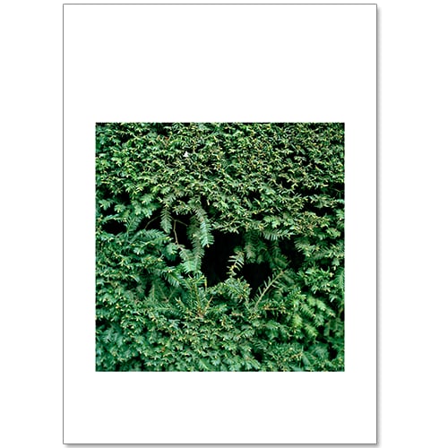 Image of Grace Ann Leadbeater - Even the Sound of Your Name