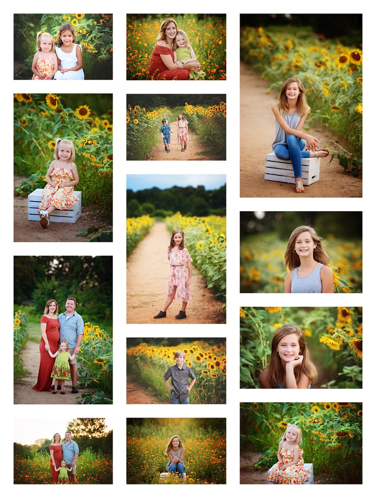 Image of July 11th, 12th, 13th:  Sunflower Field Mini Sessions  **$50 DEPOSIT**