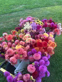 Image 4 of Summer Flower Bouquet - Finished for the season 