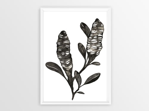 Image of Banksia