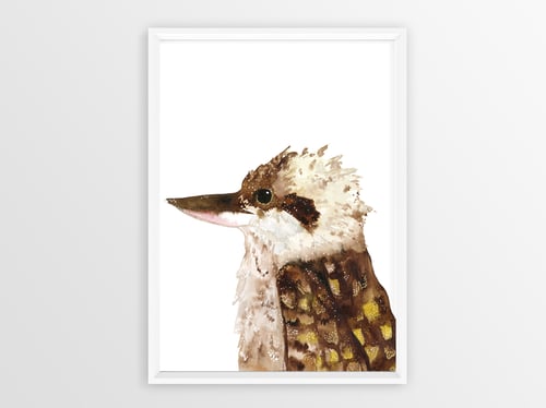 Image of Kookaburra