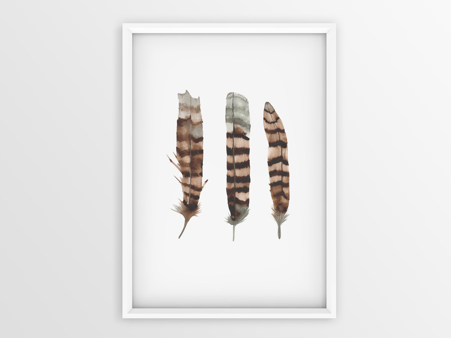 Image of Kookaburra Feathers
