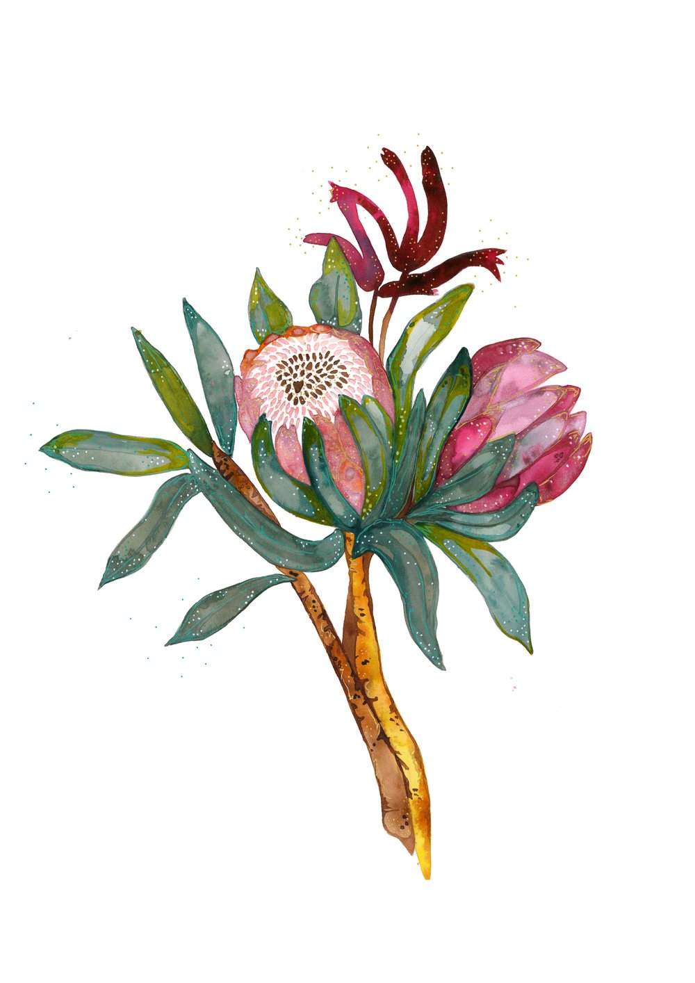 Image of Native Bunch