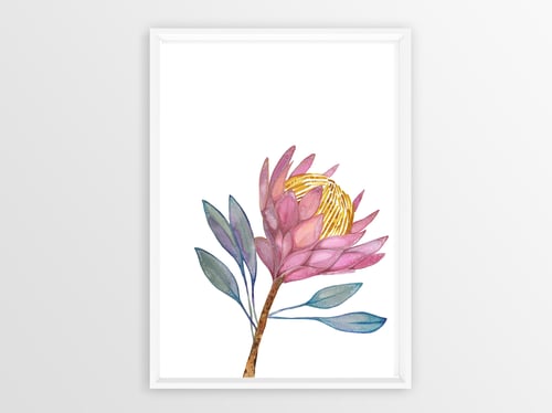 Image of King Protea