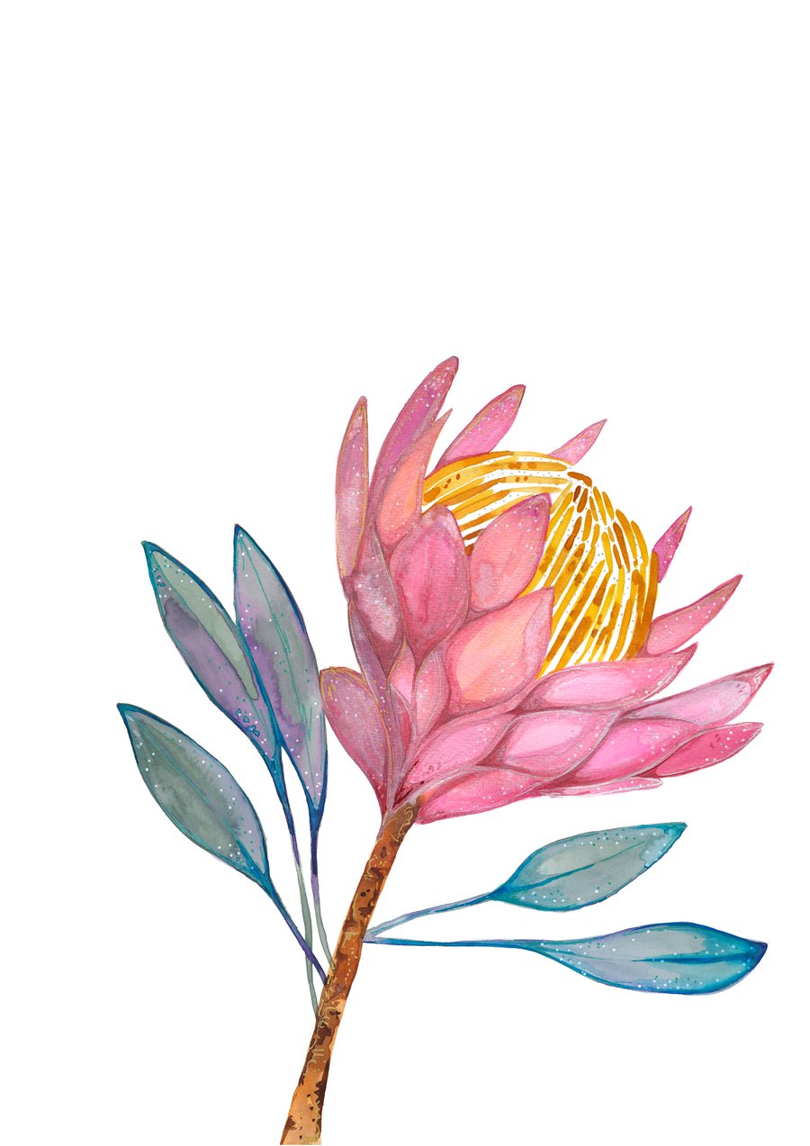 Image of King Protea