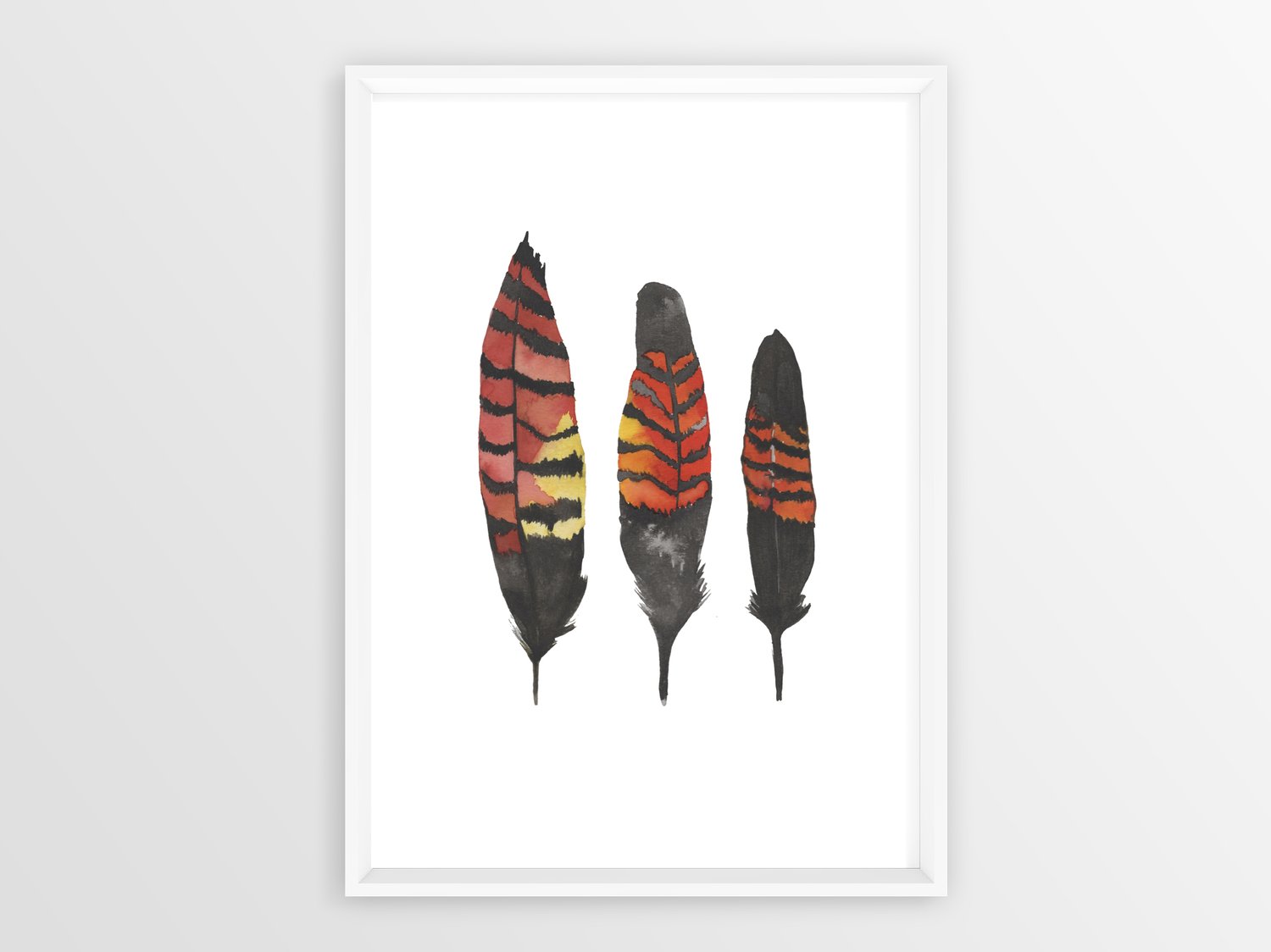 Image of Black Cockatoo Feathers