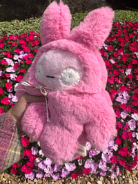 Image 5 of Burton bunny Poppy