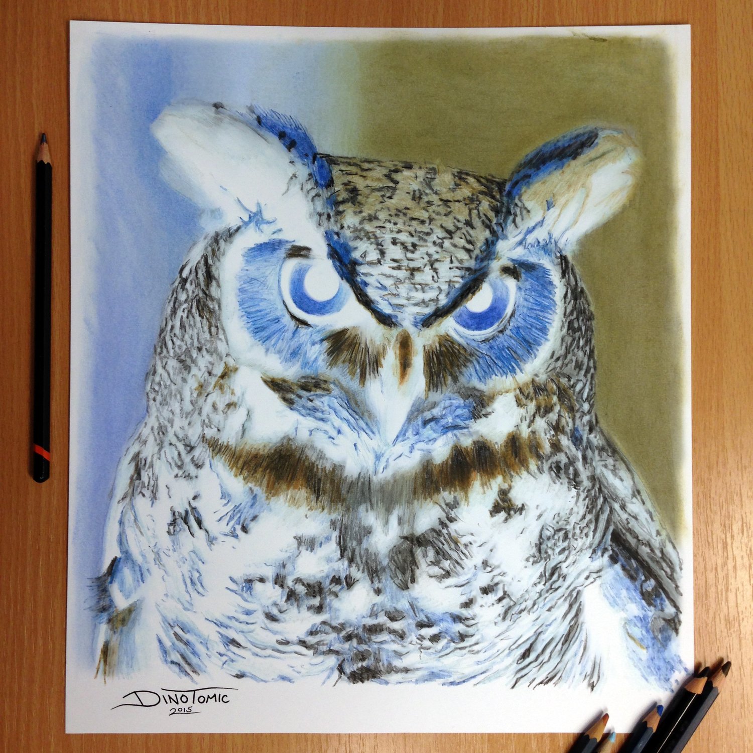 Image of #100 Inverted Owl