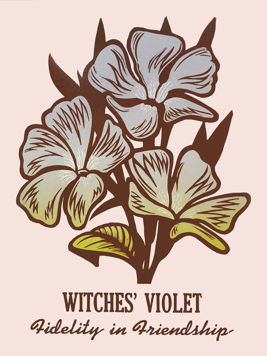 Image of Witches' Violet