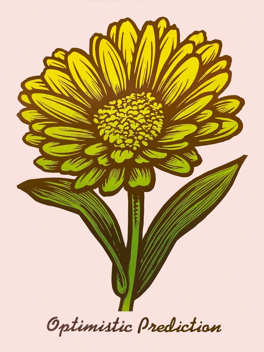 Image of Gerber Daisy