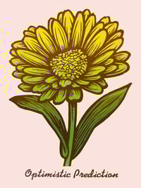 Gerber Daisy