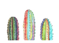 Rainbow Cactus #1 - 8"x10"