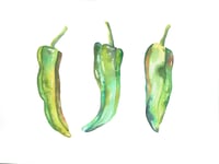 Chili peppers - 8" x 10" watercolor print