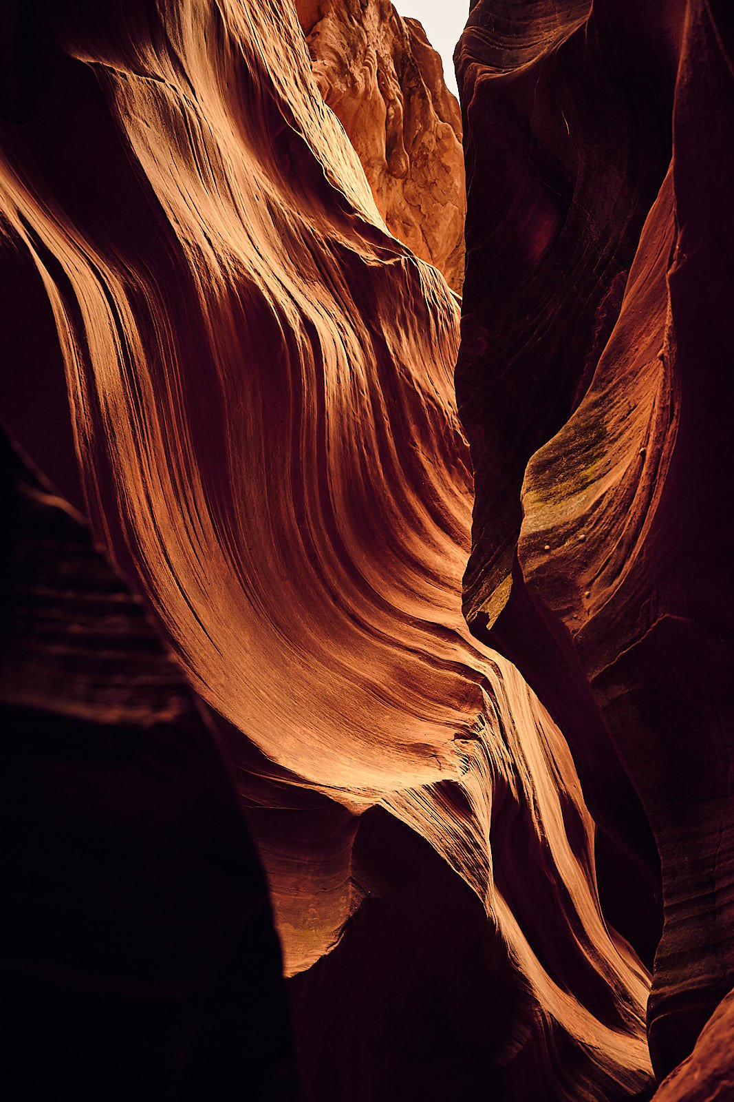 Image of Waves - Canyon Collection