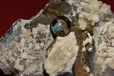 Image of Purple jellyfish plug