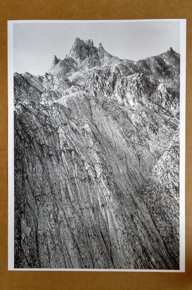Image of Riso Print
