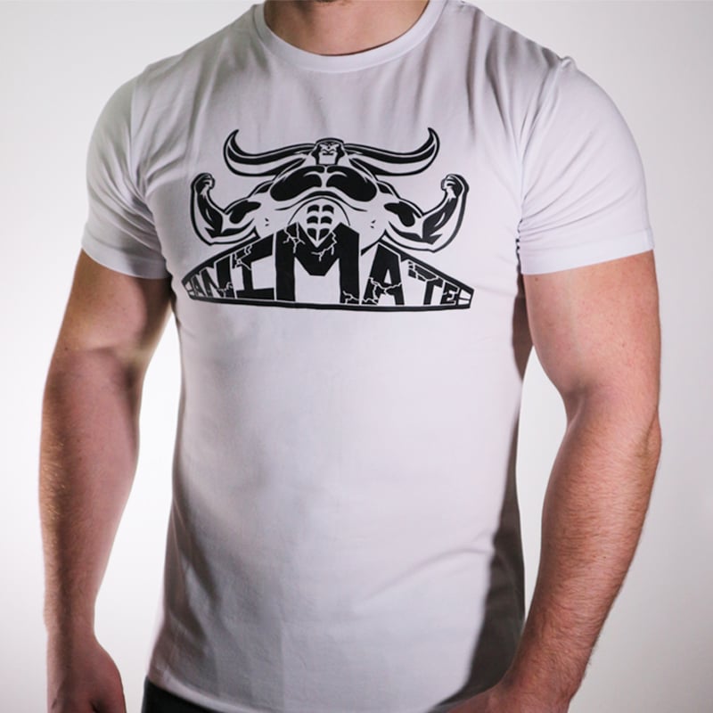 Image of Animate Core T-Shirt (Large logo)