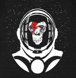 Image of Womens Space Chimp T-Shirt