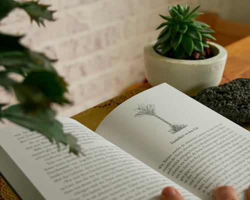 Image of Lost Project 2 - Appalachia / Taschenbuch