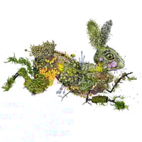 Image 1 of Púca - Print