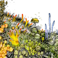 Image 3 of Púca - Print