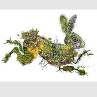 Image 4 of Púca - Print