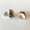 Nautilus Shell Stud Earrings