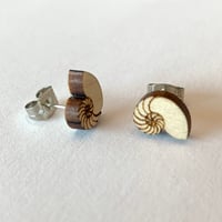 Image 1 of Nautilus Shell Stud Earrings