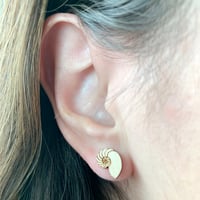 Image 3 of Nautilus Shell Stud Earrings