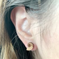 Image 4 of Nautilus Shell Stud Earrings